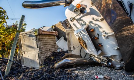 Truck carrying grapes flips on Black Sage Road