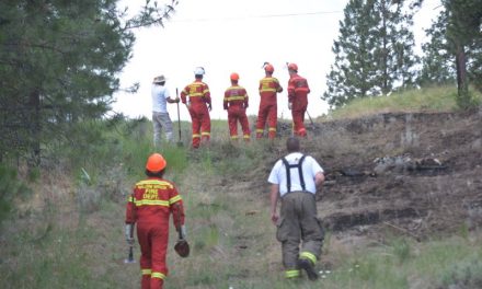 Storm leads to grass fire