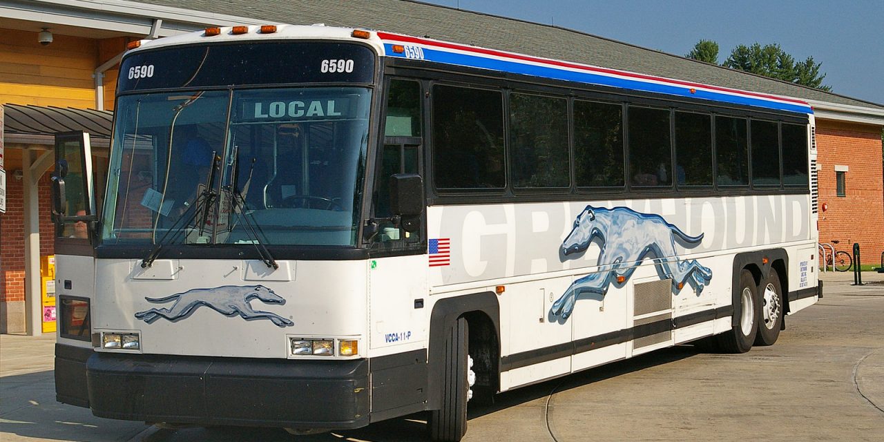 LETTER: Greyhound fallout sad state of affairs for many riders