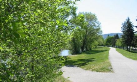 LETTER: Dogs off leash raises ire of user of hike and bike trail
