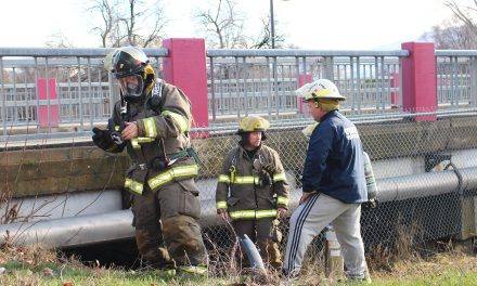 Fire department responds to fire under bridge