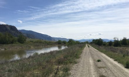 RCMP search for Hike and Bike trail flasher