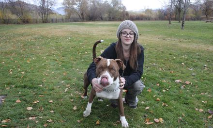 Rosco loves new dog park in Oliver