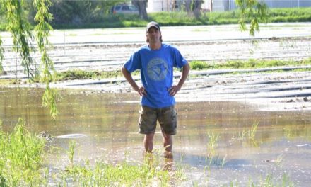 Spring flooding fears ramp up in Oliver