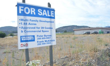 Realtor offers Town land deal for low cost housing