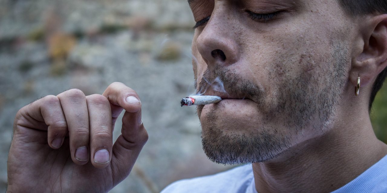 Rules driving pot to black market: MLA