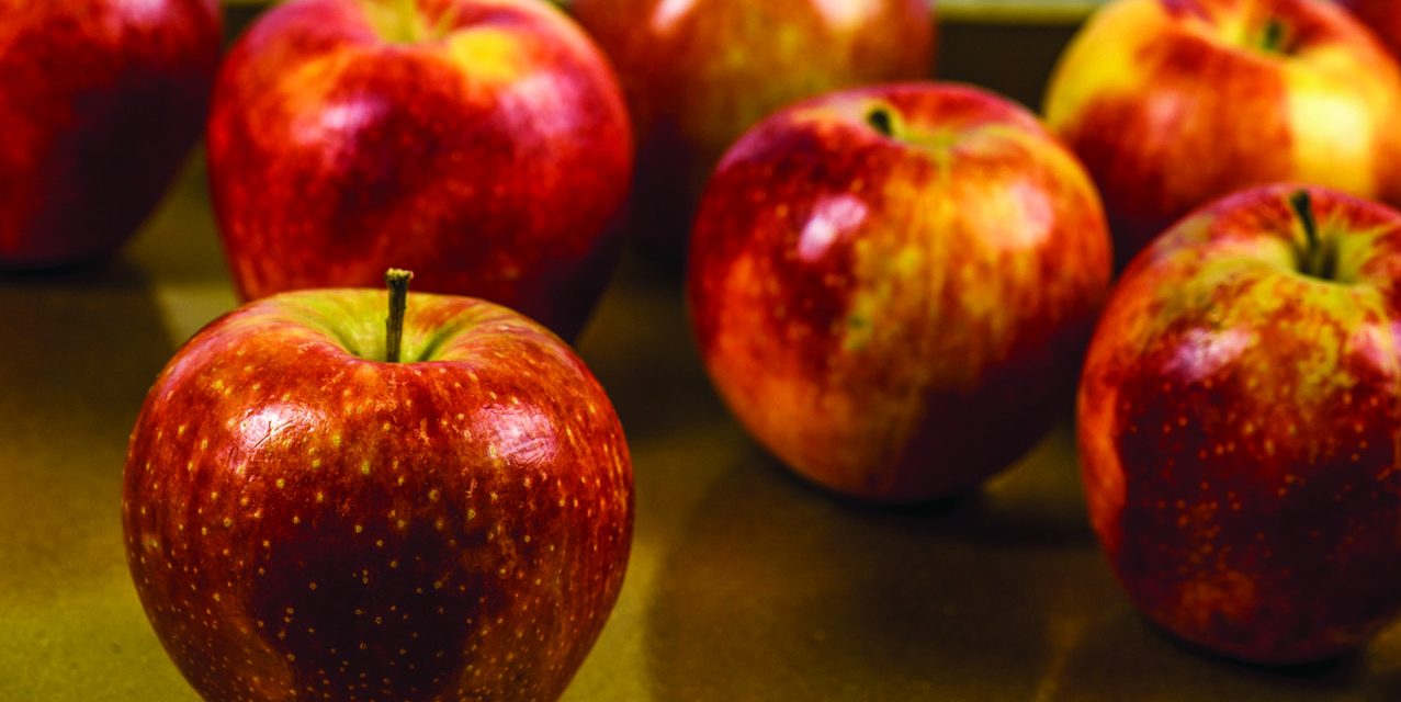 OPINION: Life is a bowl of sweet cherries, rotten apples