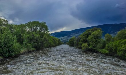 Five people rescued on Okanagan River