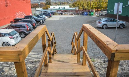 Town rescinds bylaw officers