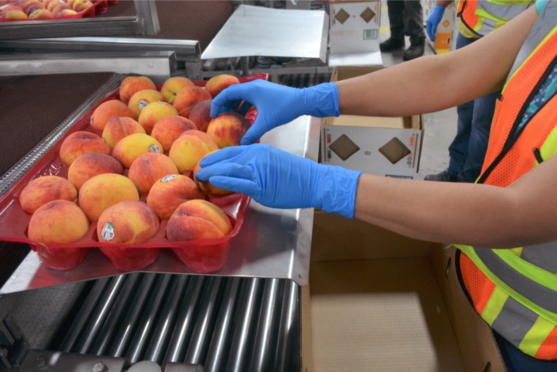 Local harvest gets thumbs up