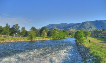 Penticton RCMP seeking witnesses of arson