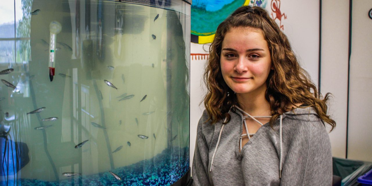 Salmon released into the wild after hatching at SOSS
