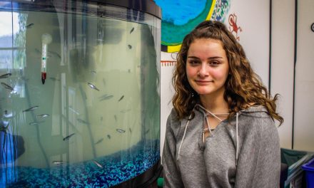 Salmon released into the wild after hatching at SOSS