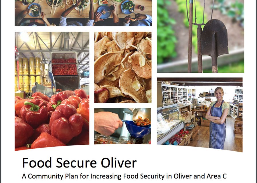 Town seeks input on food security plan through survey