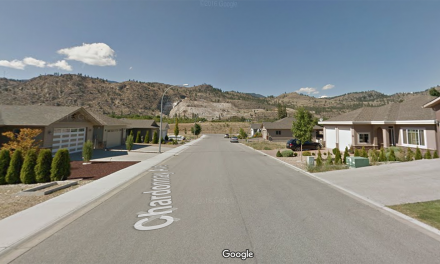 Chardonnay Ave residents fret about high density label