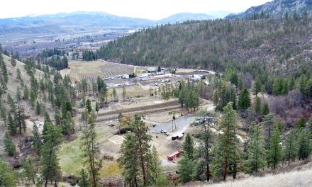 From COVID-19 to sandbags, it’s time to prepare for freshet