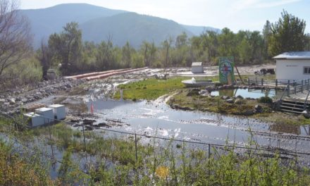 RDOS urges creek watch
