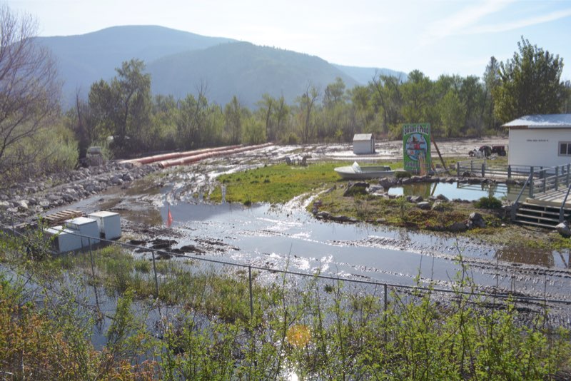 RDOS urges creek watch