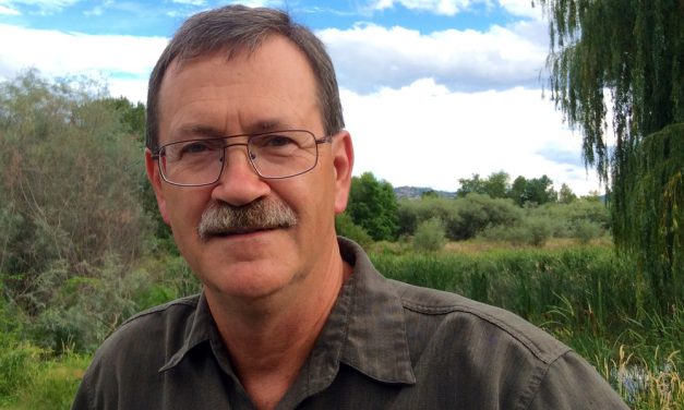 Schafer eyes politics again