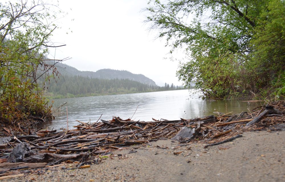 Phase 2 of water quality assessment to start at Vaseux Lake