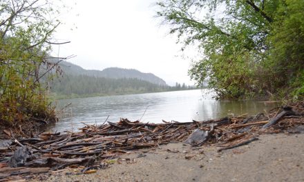 Phase 2 of water quality assessment to start at Vaseux Lake