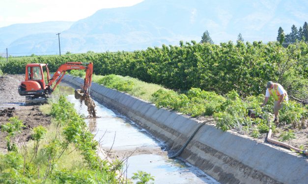 Canal ionizers and screen upgrades approved
