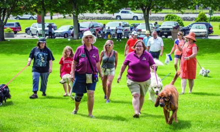 Guide dog a lifesaver for autism sufferer