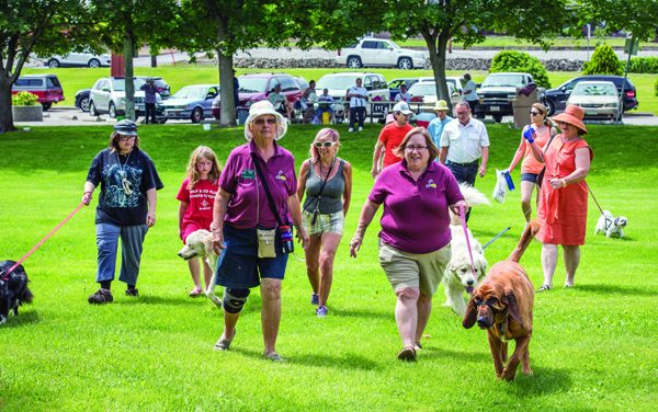 Guide dog a lifesaver for autism sufferer