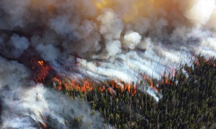 Wildfire prevention bans implemented
