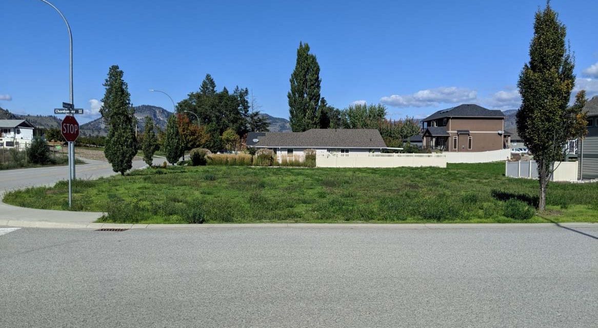 Town considers zoning amendment