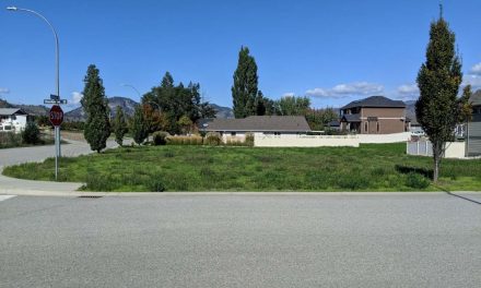 Town considers zoning amendment