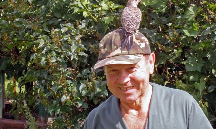Meet Angelo: Oliver’s bird whisperer