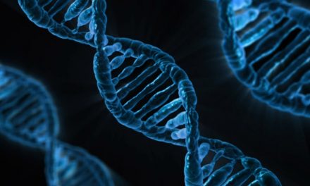 SOSS SPEAKS: How much genetic modification is too much?