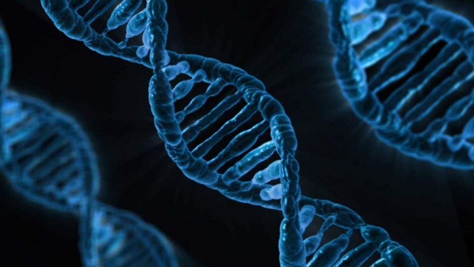 SOSS SPEAKS: How much genetic modification is too much?