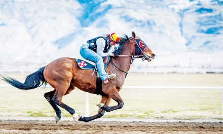 Place your bets – racing returns to Desert Park for first time in decade