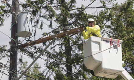 Planned outage for 264 customers in Oliver area