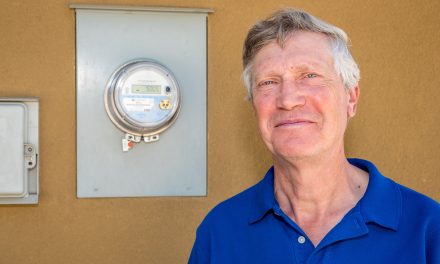 Electricity rate critic applauds proposed return to single-tier rate, but angered it will take five years
