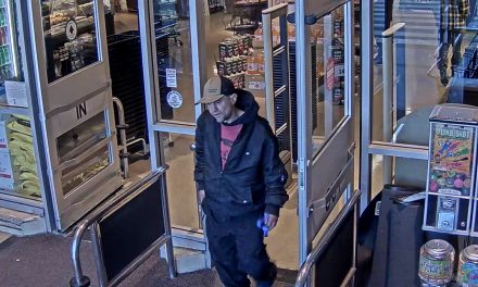 Police looking for poppy box thief