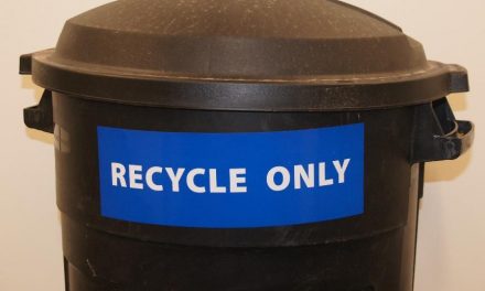 Blue bags banned next summer