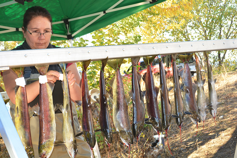‘Fish in Schools’ program expands to OCC