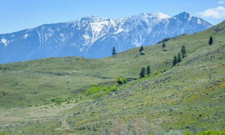 Late snowmelt increases local flood risk