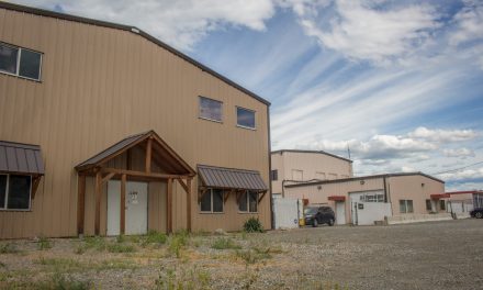 Two grow-ops get green light from council