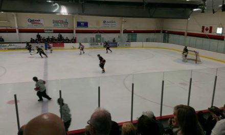 Coyotes entertain fans in Oliver