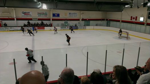 Coyotes entertain fans in Oliver