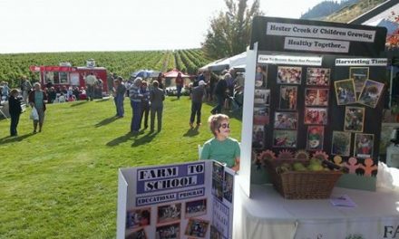 Garlic Festival at Oliver’s Hester Creek a huge success