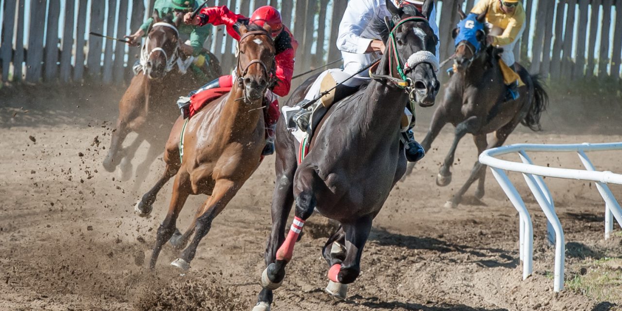 Huge crowds pack into Desert Park as racing returns after 15 years