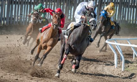 Huge crowds pack into Desert Park as racing returns after 15 years