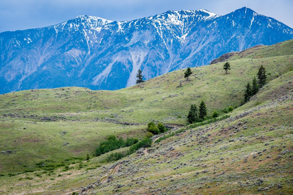 The South Okanagan-Similkameen grasslands are the site of a proposed national park. Municipalities voted in support of a resolution sponsored by Osoyoos calling on the provincial government to return to talks aimed at establishing the park. (Richard McGuire photo)