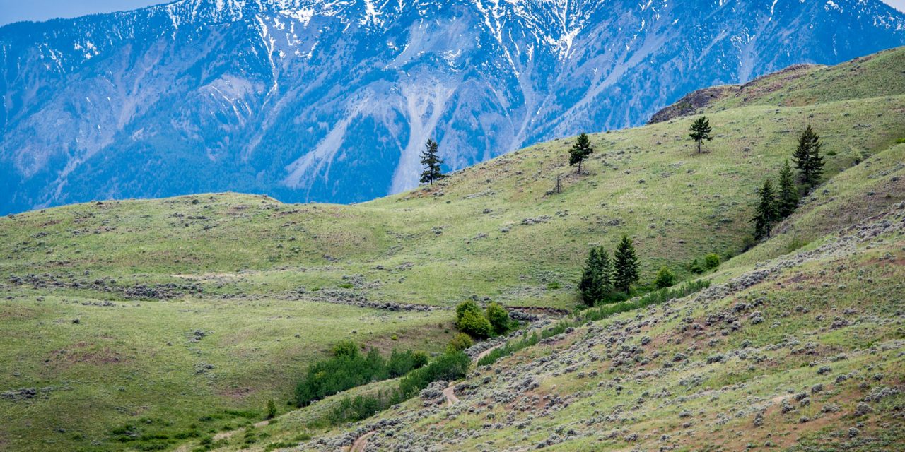 Municipal delegates at UBCM want province to resume talks to establish national park