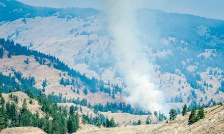 Third wildfire burning near Mount Kobau